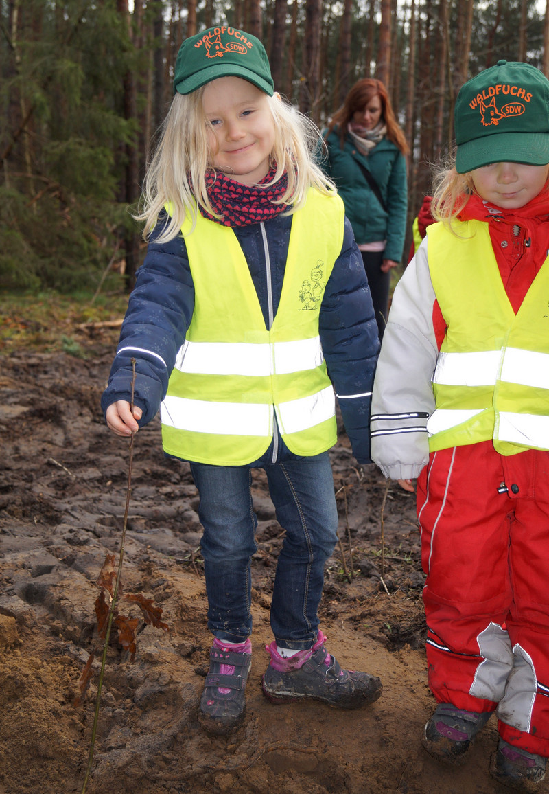 Bild von Kind, das eine Eiche pflanzt.  