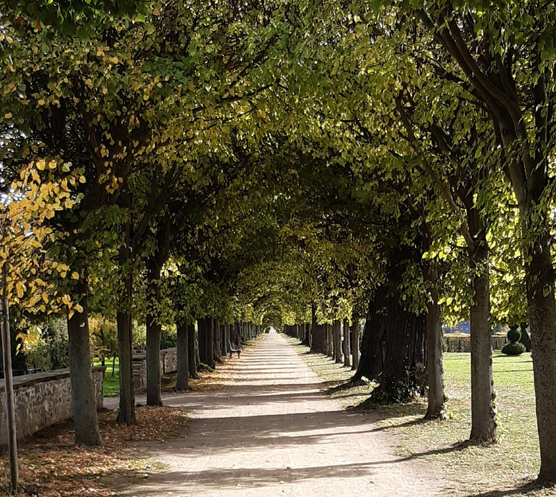 Lindenallee im Barockgarten Hundisburg