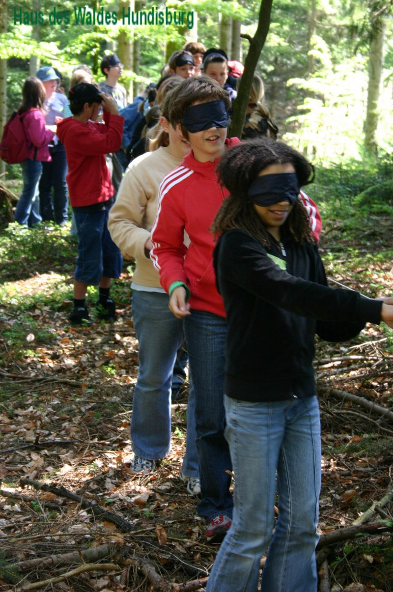 Kinder mit Augenbinden tasten sich durch den Wald  