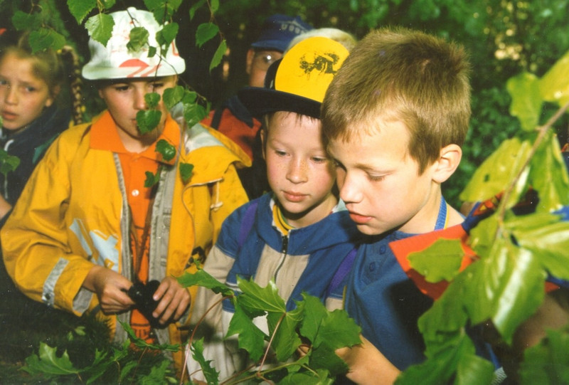 Kinder auf einer Walderlebnisführung