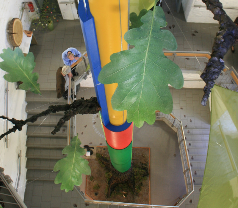 Die Biomaschine Baum erstreckt sich über drei Geschosse im Turm des Haus des Waldes 