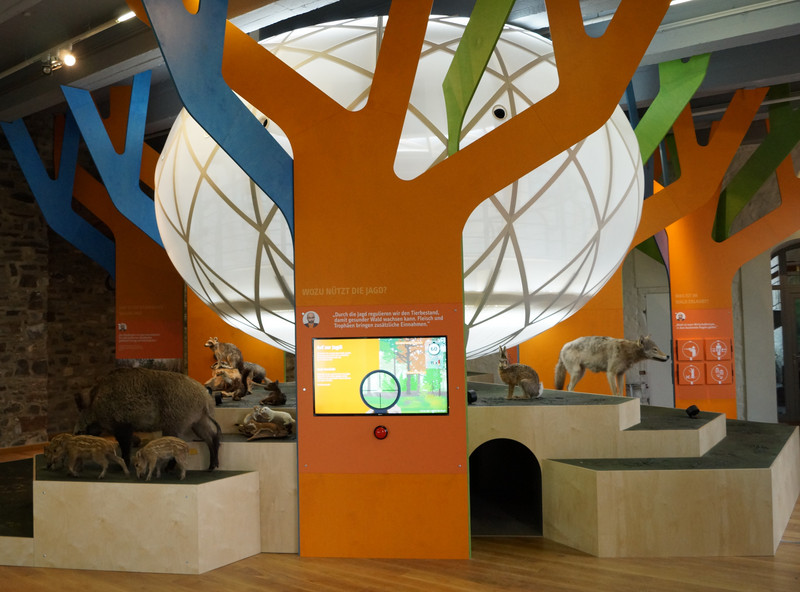 Blick in die Ausstellung "Streitfall Wald?"