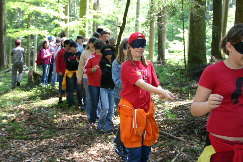 Schülergruppe auf einer Walderlebnisführung 